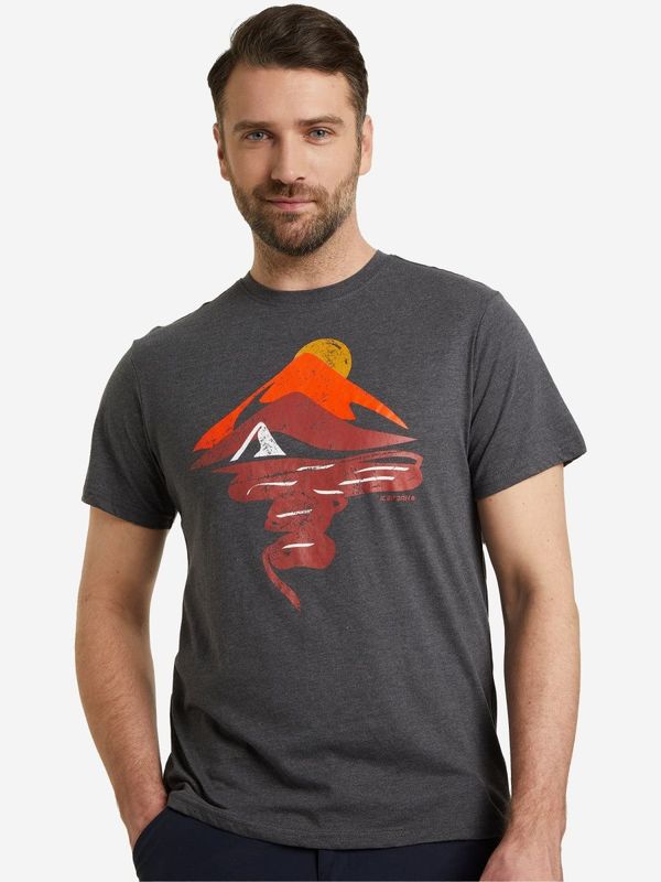 Футболка IcePeak Icepeak 152954414