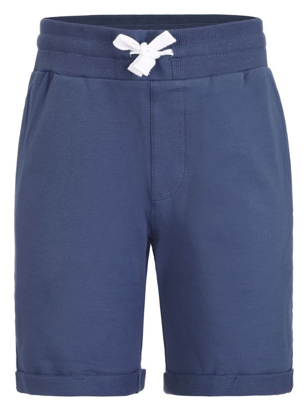 Шорты Icepeak 11699755 Шорты Icepeak 11699755