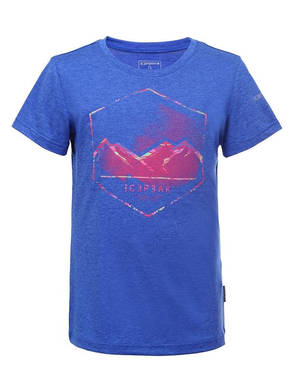 Джемпер Icepeak 11718751