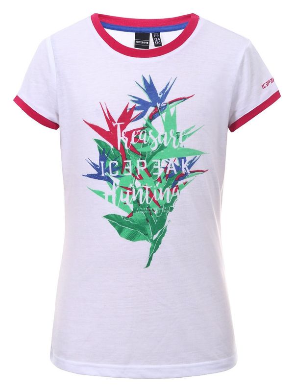 Джемпер Icepeak 11718776