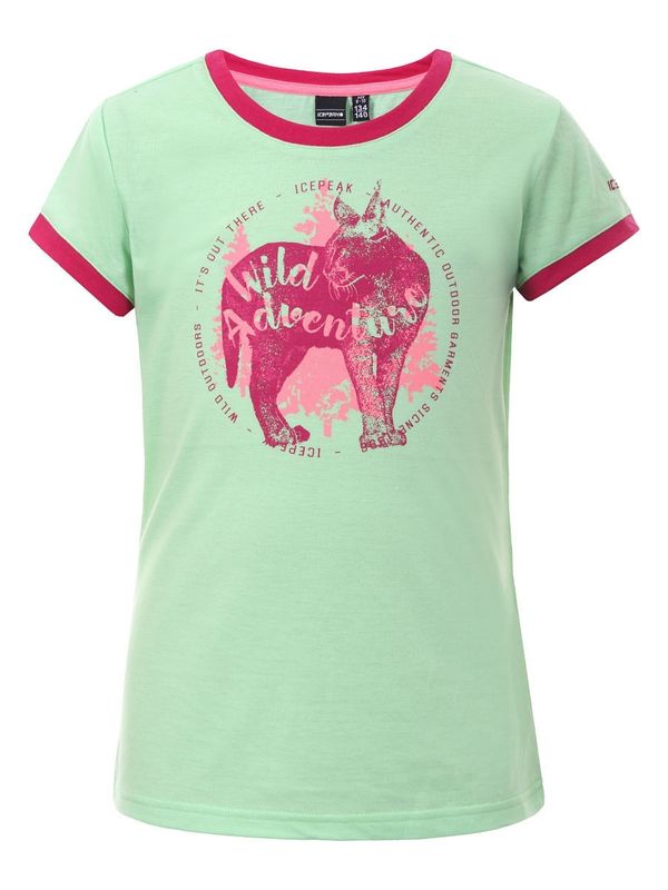 Джемпер Icepeak 11718774