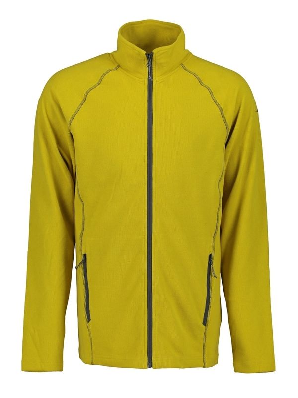 Толстовка Icepeak 38101797