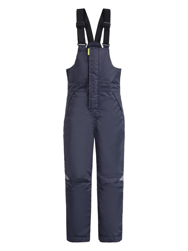 Брюки утепленные Icepeak 76701661