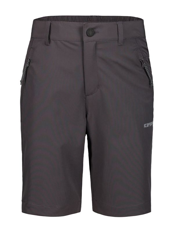 Шорты Icepeak 67021581 Шорты Icepeak 67021581