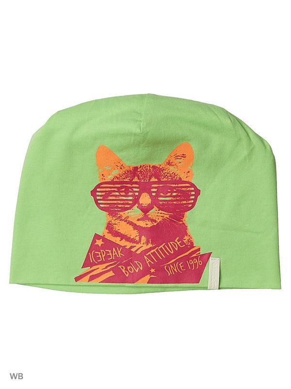 Шапка Icepeak 3742506