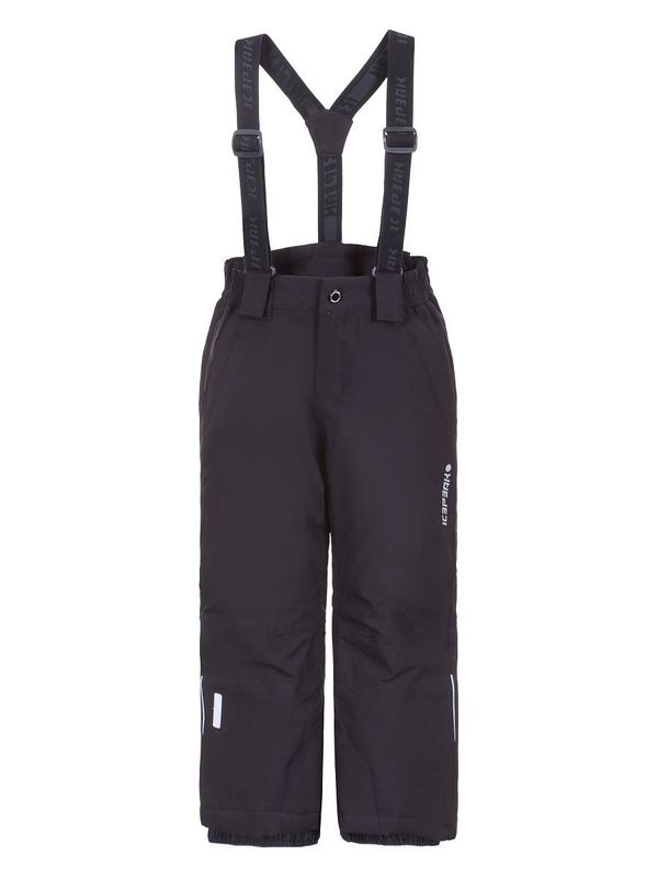 Брюки Icepeak 8963368 Брюки Icepeak 8963368